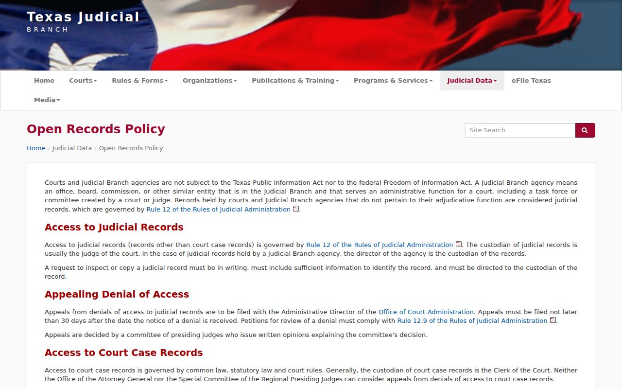Texas judiciary access rules relevant to Dallam County warrant records